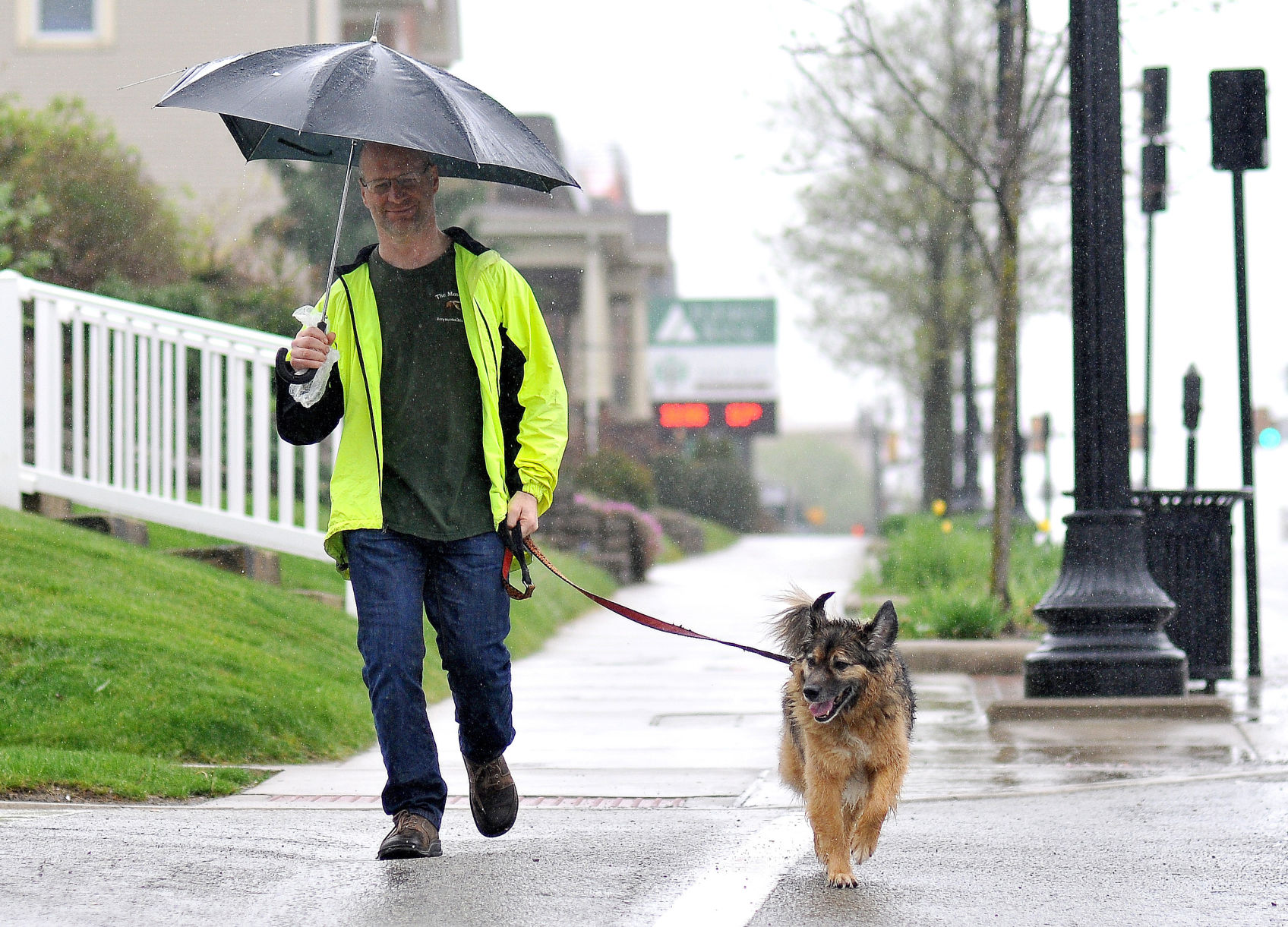Walking The Dog - 5382